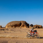 Dakar 2022. Etapa 11 (Bisha-Bisha)