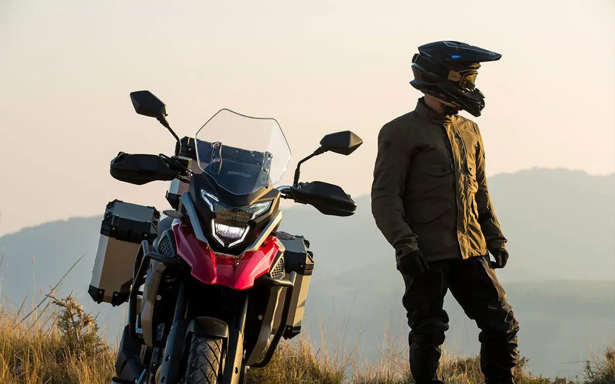 Limace de mer île historique como sabe google maps que voy en moto Plante  Cuire Berceau