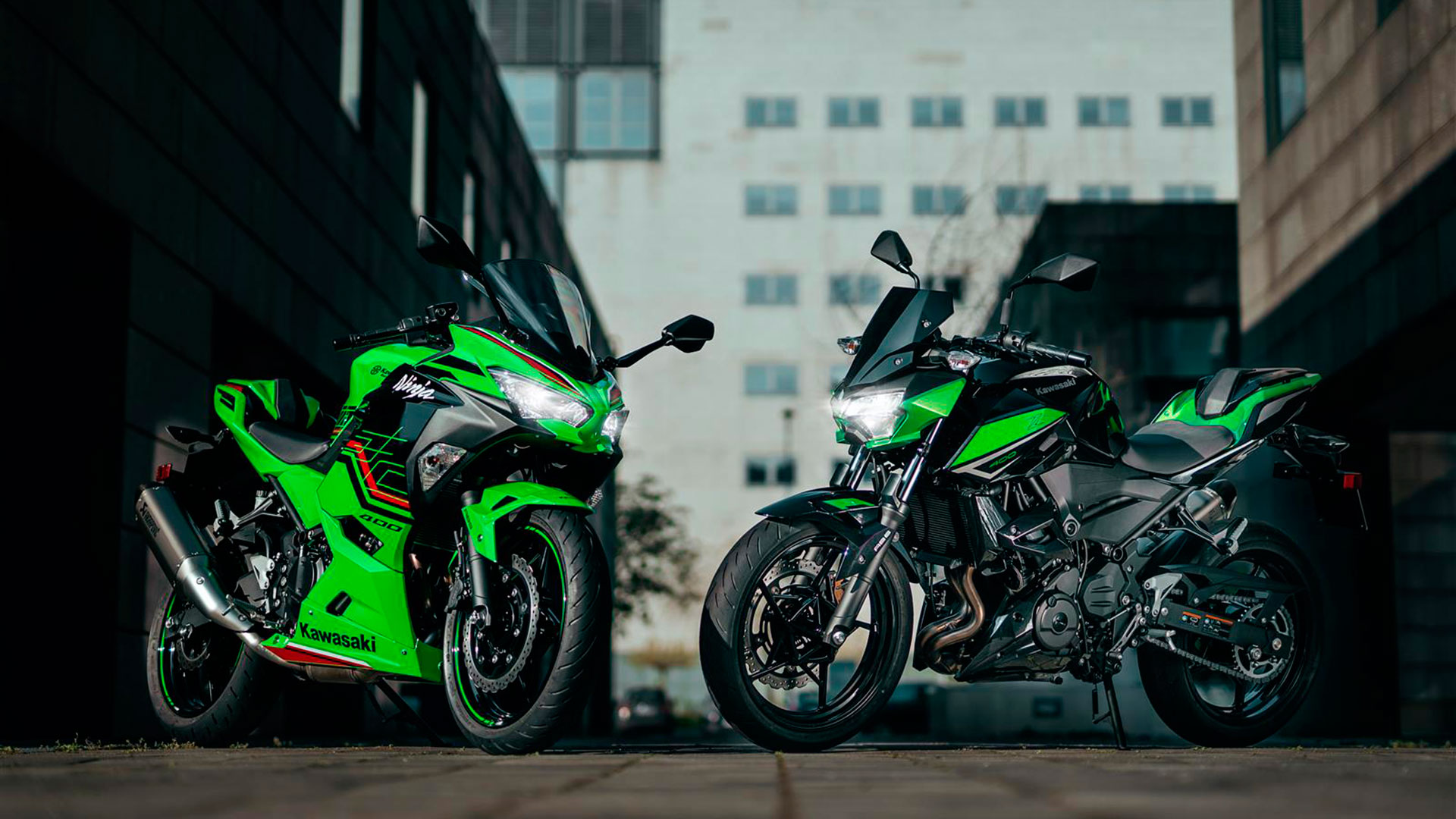 ¡Atento! Dos de las motos más populares de Kawasaki para el A2 regresan en 2022
