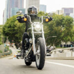 Harley_Davidson Softail Standard