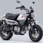 ¡NUEVOS COLORES PARA LOS MODELOS HONDA CB1000R, CMX500 REBEL Y MONKEY 2023! 10 HONDA CB1000R, CMX500 REBEL Y MONKEY 2023