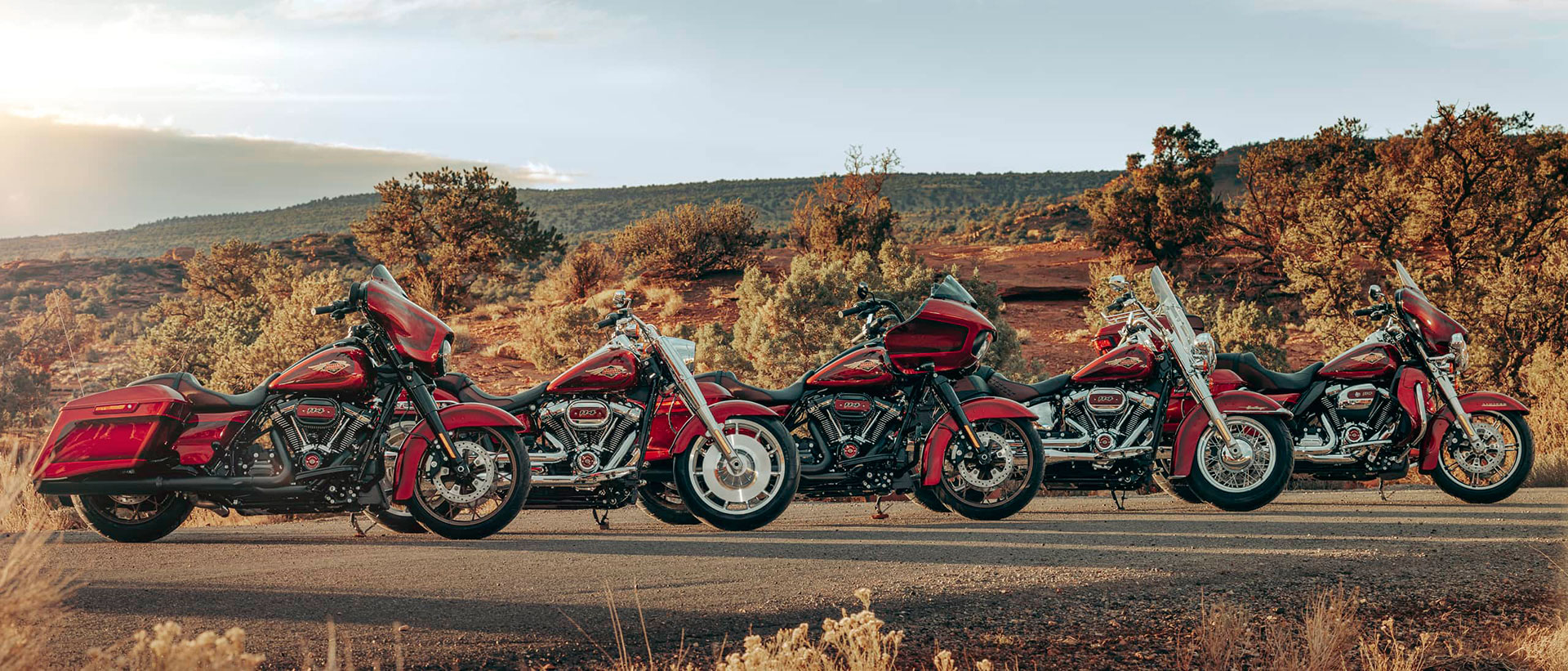 Novedades Harley-Davidson 2023: así lucen los modelos 120º Aniversario 6 harley-davidson-120-aniversario