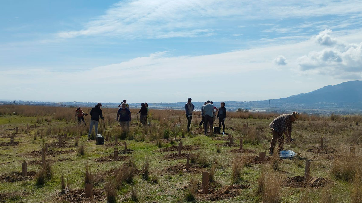 “Una moto, un árbol”: una bonita iniciativa medioambiental de Yamaha MotoCenter 1 plantacion_yamaha_arboles
