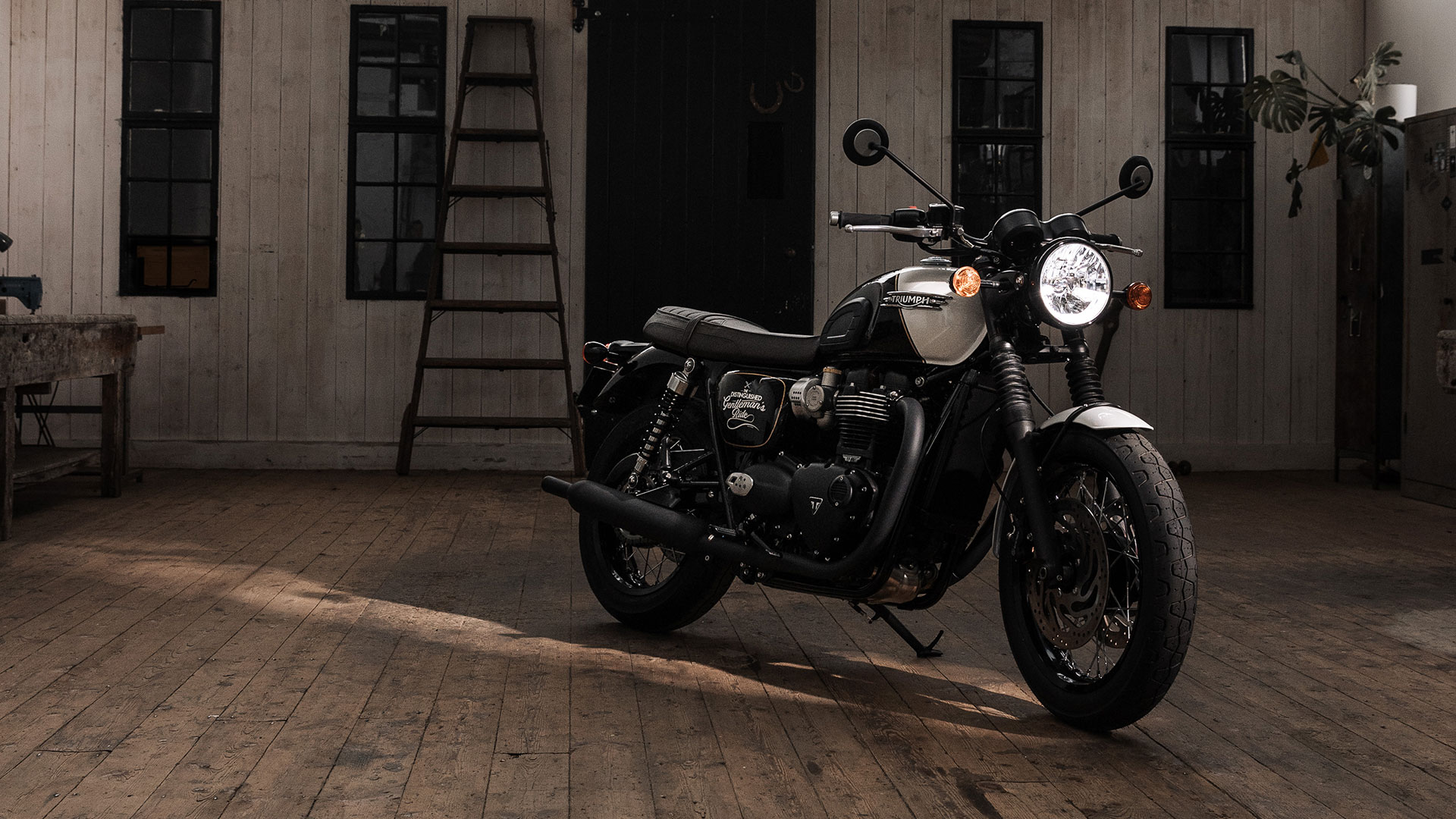 Triumph Bonneville T120 Black DGR: estética 'gentlemen' por sus 10 años de cooperación en el evento 5 TriumphxDGR_T120_MY23_GE--13