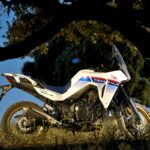 Honda XL750 Transalp estatica 4