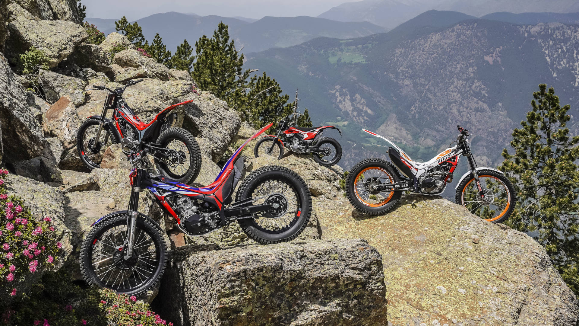 Novedades Montesa 2024: nuevos colores y mejoras en la parte ciclo