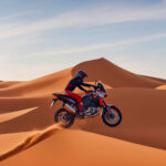 Honda CRF1100L Africa Twin 2024