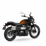 Triumph Scrambler 900 Stealth Edition 2024