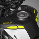 Benelli BKX 300 S 2024 16