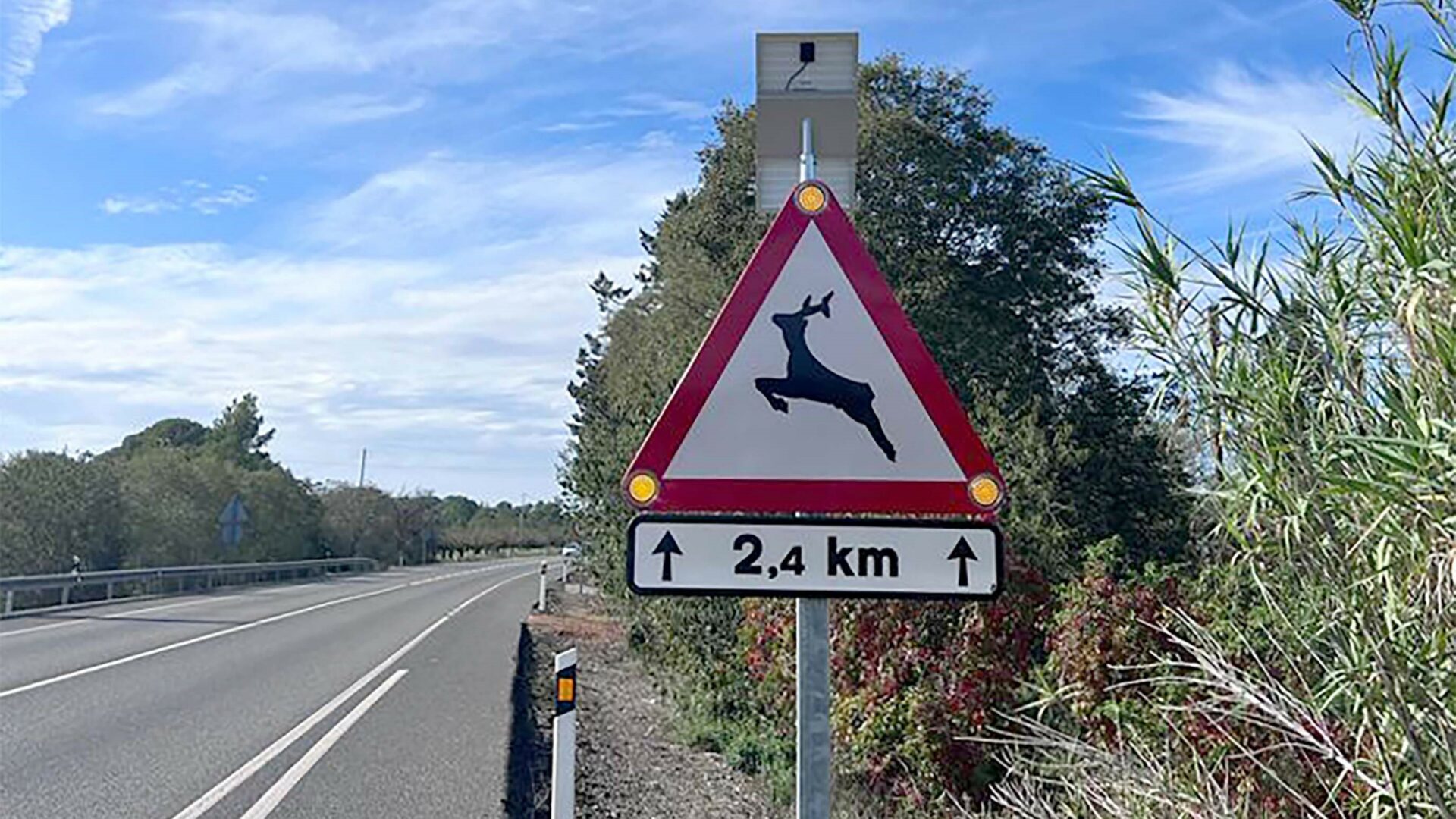 Conoce las señales que tratan de frenar los accidentes con animales