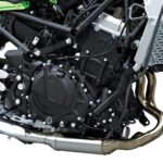 Kawasaki Ninja 500 Z500 2024 16