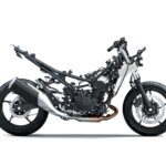 Kawasaki Ninja 500 Z500 2024 37