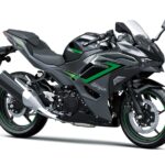 Kawasaki Ninja 500 Z500 2024 41