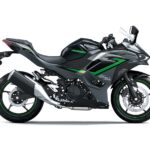 Kawasaki Ninja 500 Z500 2024 42