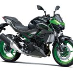 Kawasaki Ninja 500 Z500 2024 53