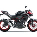 Kawasaki Ninja 500 Z500 2024 85