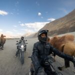 ROYAL ENFIELD Himalayan 450 2024 42