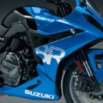 SUZUKI GSX 800R 2024 21