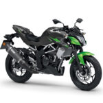 Kawasaki Z125 Performance