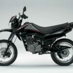 Suzuki DR 125 SM