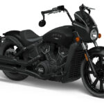 Indian Scout Rogue