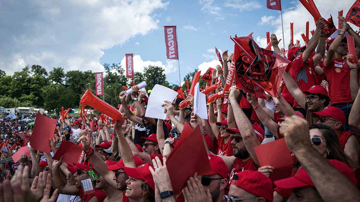 Tribuna Ducati Mugello 2024