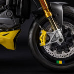 ducati monster senna 2024 13