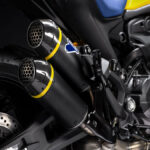 ducati monster senna 2024 15