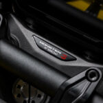ducati monster senna 2024 19