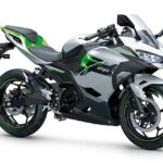 Kawasaki Ninja e-1