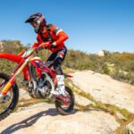 Protecciones FLY Racing
