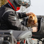 Bolsa GIVI Pet Bag