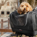 Bolsa GIVI Pet Bag