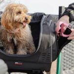 Bolsa GIVI Pet Bag