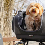 Bolsa GIVI Pet Bag