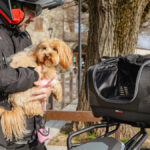 Bolsa GIVI Pet Bag