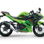 Kawasaki Ninja 500 SE