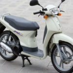 40 aniversario del Honda SH