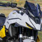 BMW R 1300 GS Pista