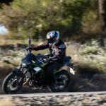 Kawasaki Z900 2025