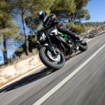 Kawasaki Z900 2025