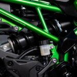 Kawasaki Z900 2025