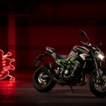 Kawasaki Z900 2025