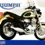 Triumph Thunderbird 900