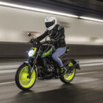 MITT NK 125
