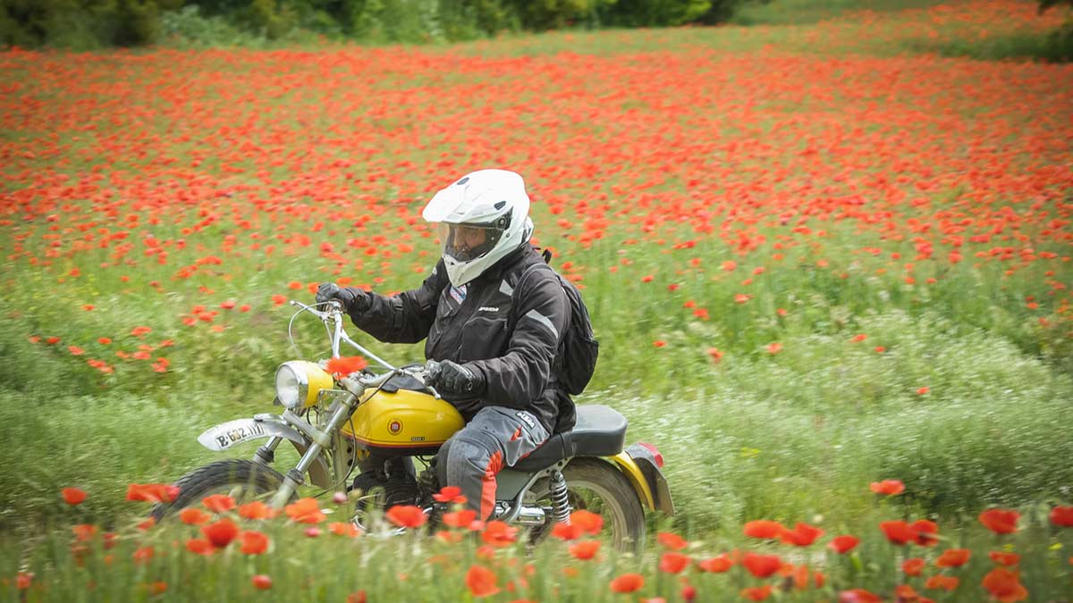 Fotos IV Classic Raid TT/Trail